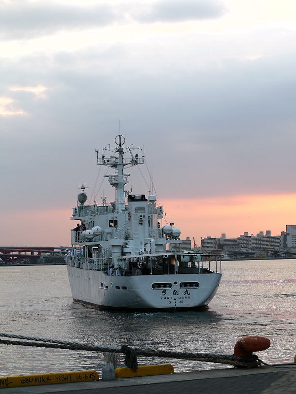 出航 弓削丸 (弓削商船高等専門学校) Ⅱ ROOM297