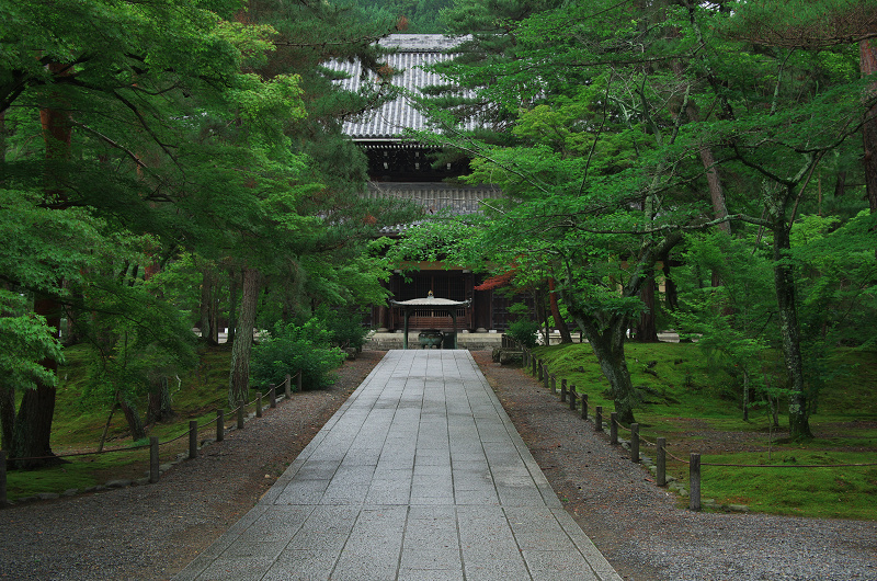 新緑の南禅寺（野村碧雲荘～南禅寺界隈） 花景色－K.W.C. PhotoBlog
